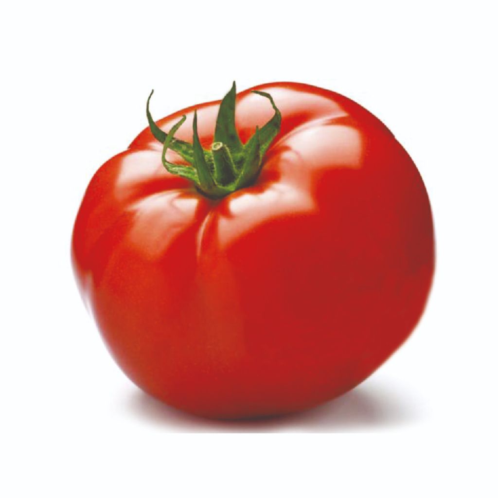 Tomate